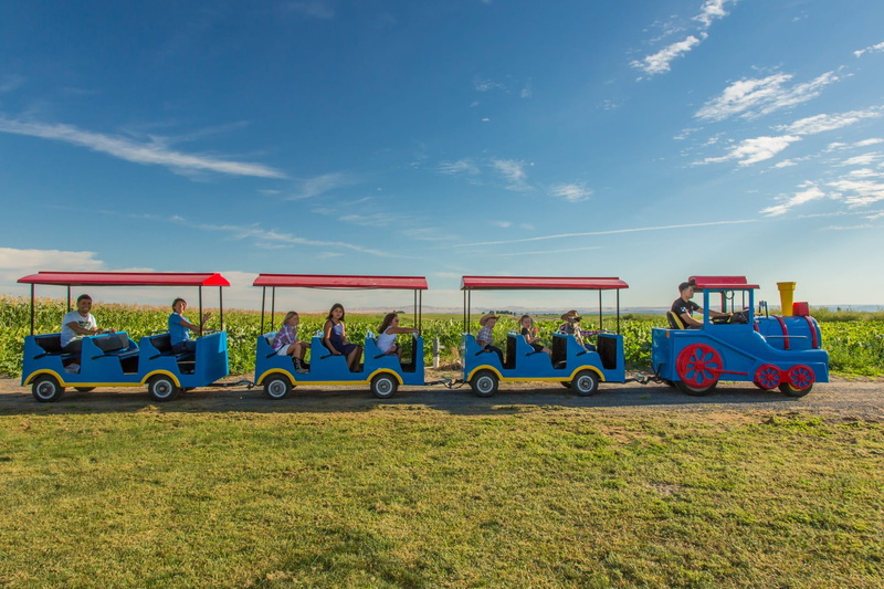 smile, Ride, leisure activity, men, outdoors, day, train, childhood, transportation, land, grass, farm, plants, bus, rides, people, Corn, farming, country