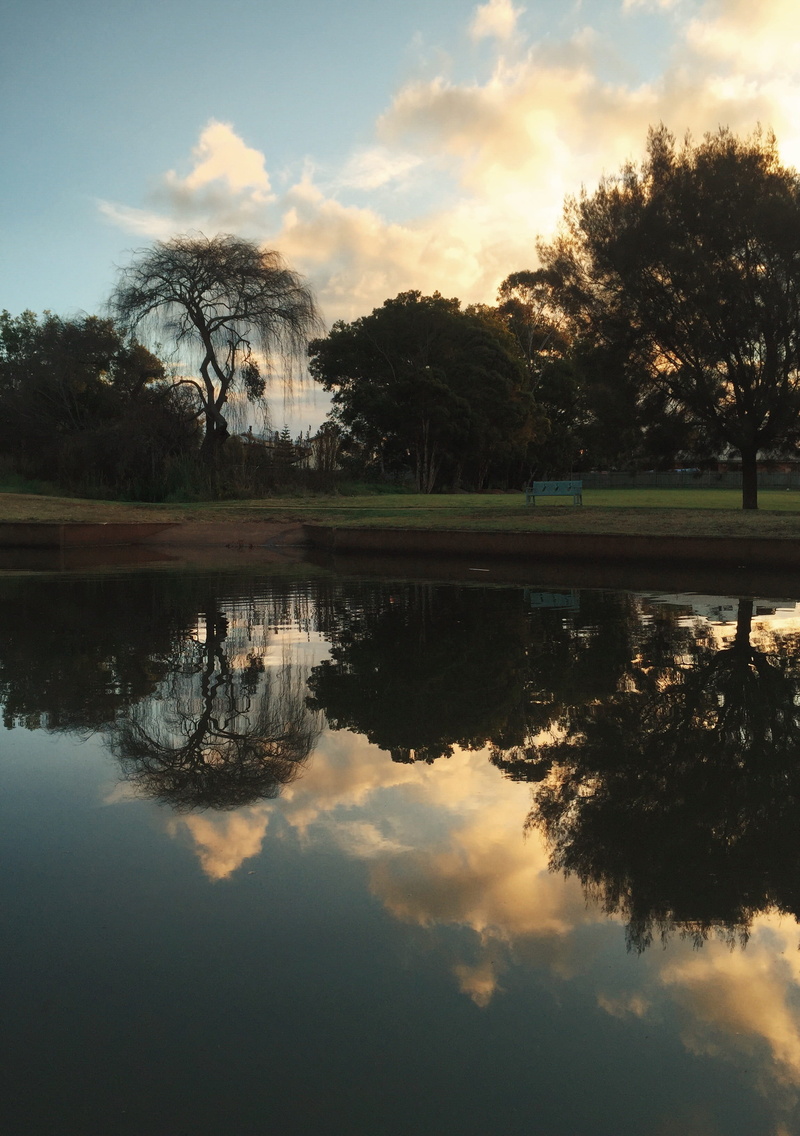 lake, no people, toowoomba, dusk, beauty in nature, tree, sunset, tranquility, 2K, nature, waterfront, reflection, tranquil scene, scenics - nature, peaceful