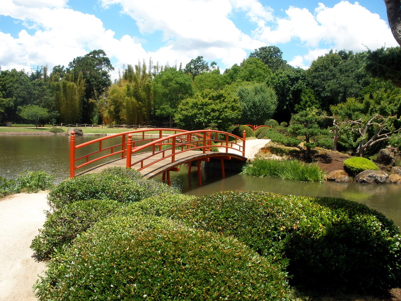Park, trees, bridge, 1080P, Japenese Garden, Australia, Toowoomba, pond