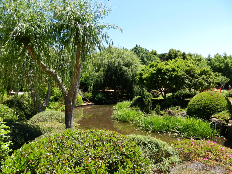tranquility, Japenese Garden, tree, park - man made space, beauty in nature, no people, day, tranquil scene, growth, trees, sky, sunlight, the bushes, grass