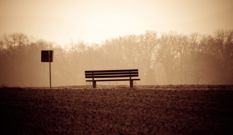 outdoors, seemed, field, old, plant, benches, nature, sky, fog, tree, absence, railroad track, park - man made space, platform, black, train, park bench