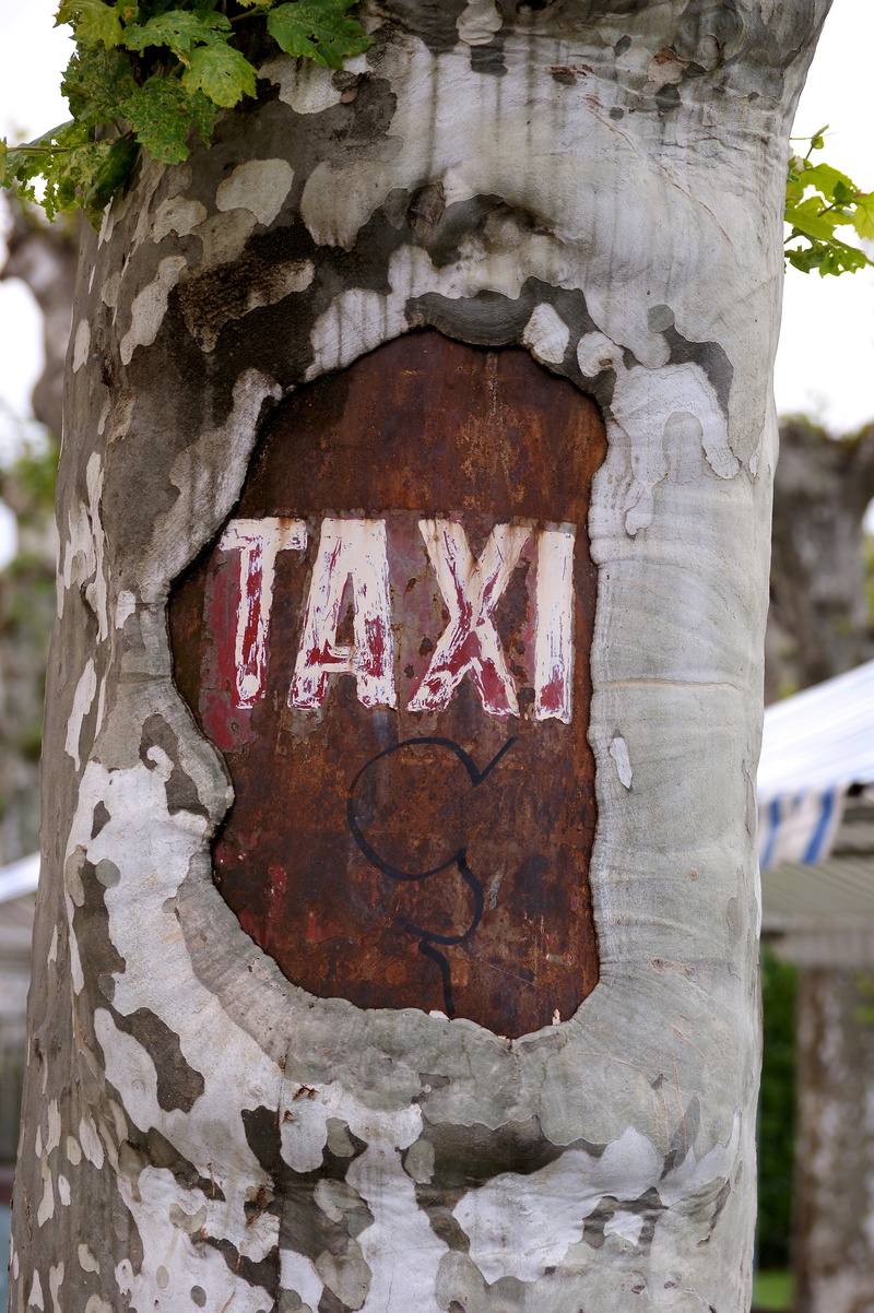 wood - material, communication, plant, nature, close-up, stop, western script, tree trunk, text, textured, stand, sign, plane, day, 4K, engraved, taxi