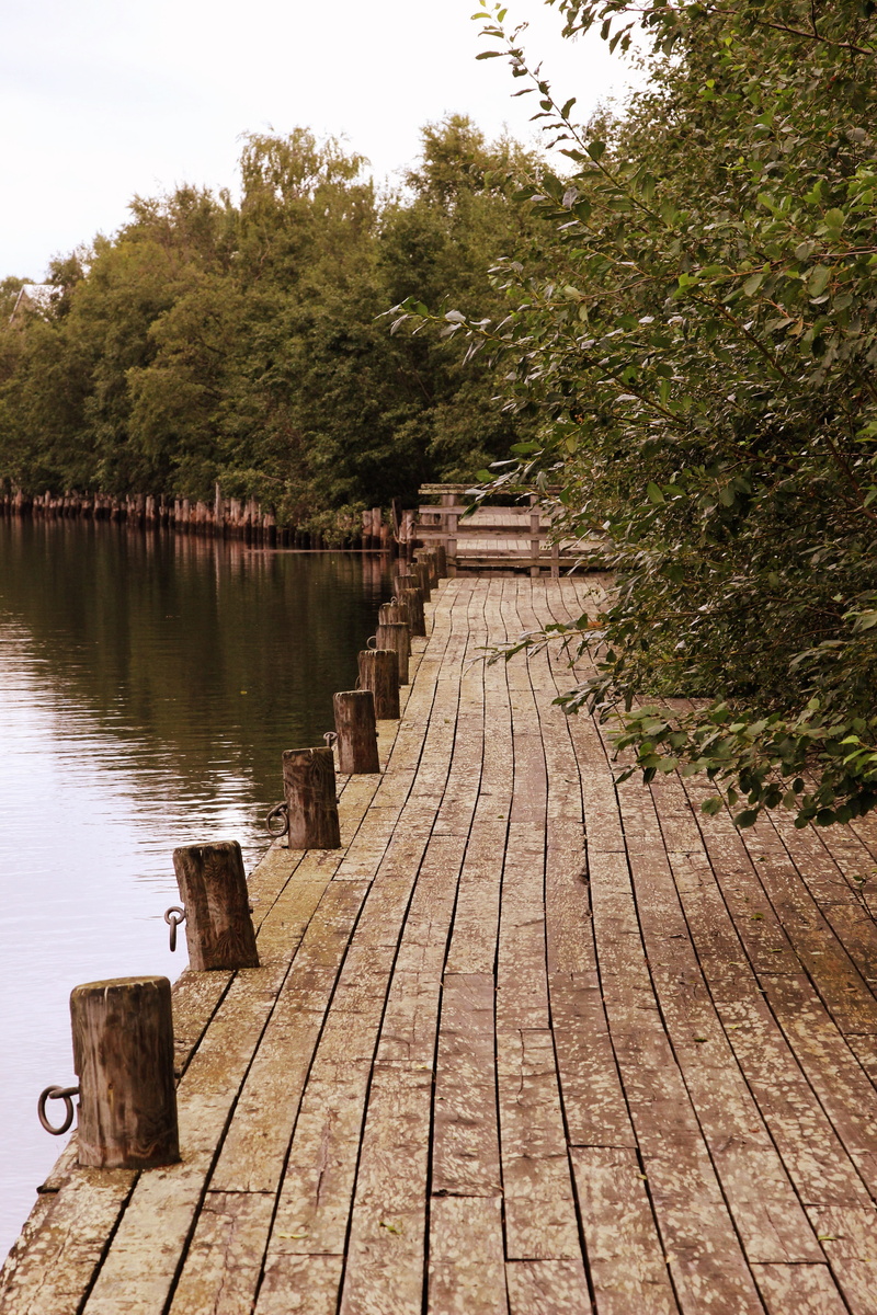 Water, plant, tree, walkway, outdoors, the way forward, wood paneling, Finland, outside, dock, tranquil scene, Harbor, pier, Bay, boardwalk, Oulu, near