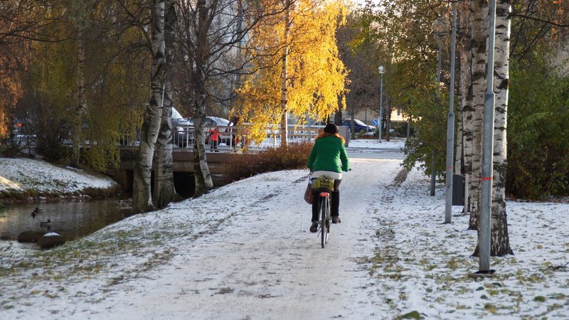 autumn, mode of transportation, land vehicle, outdoors, plant, the way forward, riding, diminishing perspective, finnish, bicycle, direction, lifestyles