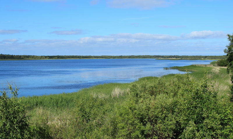 4K, bothnian, Oulu, tranquility, green color, nature, water, scenics - nature, outdoors, tree, beauty in nature, non-urban scene, Bay, lake, growth, sky