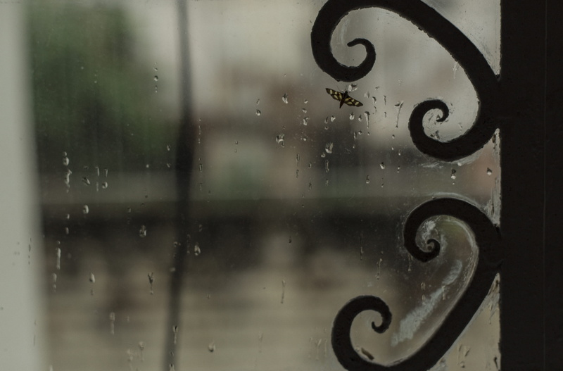 raindrop, indoors, no people, curitiba, rain, shape, brazil, transparent, full frame, wet, number, day, close-up, door, focus on foreground, metal, drop