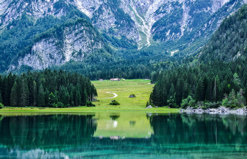 fusine, idyllic, mountain landscape, water, beauty in nature, mountain, scenics - nature, campaign, pine tree, green color, plant, mountain lake, no people