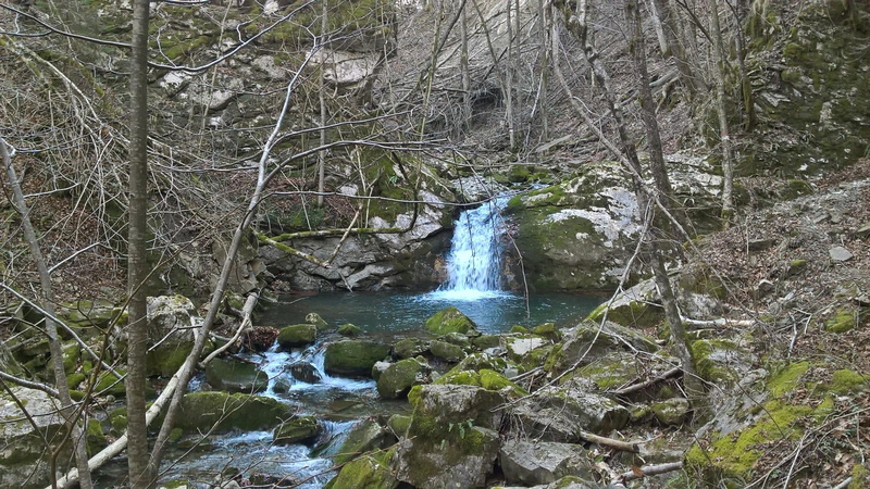 outdoors, blurred motion, stone, motion, leaf, friuli, day, beauty in nature, forest, rock, nature, river, water, woodland, land, plant, stream - flowing water