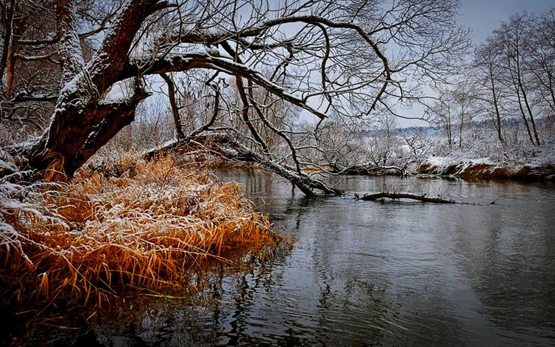 late autumn, 720P, shore, hd, autumn, art, nature, first, Winter, late, snow