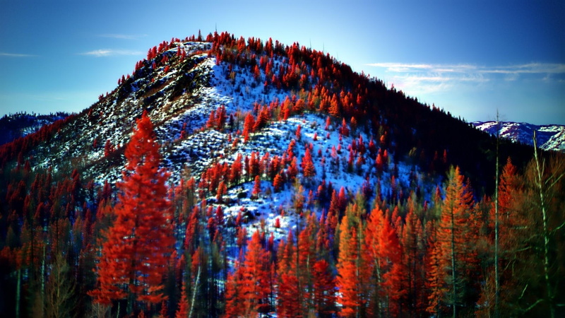 1080P, mountain, nature and landscapes, snow, first, winter, autumn, trees, colors, fall