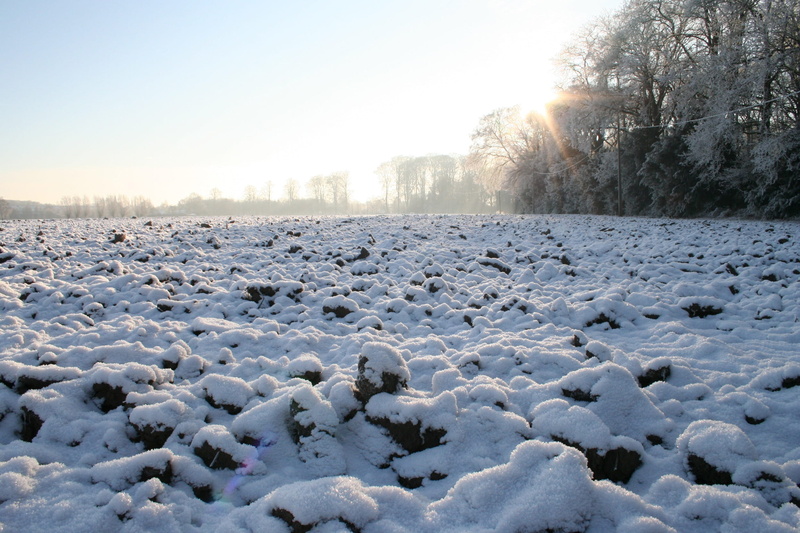 nature, tranquility, snow covered ground, 1080P, Icy, icy winter, white color, extreme weather, day, frozen, beauty in nature, frost, no people, scenics - nature