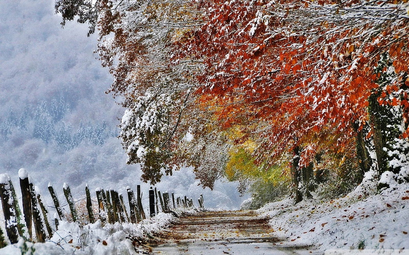 non-urban scene, covering, first, winter, outdoors, growth, 1080P, white color, transportation, landscape, red, hd, scenics - nature, cold temperature