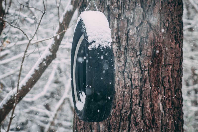 focus on foreground, 5K, plant, unsplash, land, wood - material, cold temperature, bark, nature, trunk, snowing, outdoors, swing, first snow, day, close-up