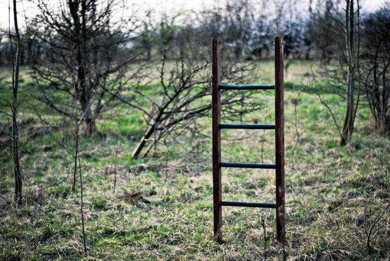 landscape, nature, non-urban scene, forest, wood - material, absence, seat, ladder, tranquility, united kingdom, tree, bushes, land, woods, tranquil scene