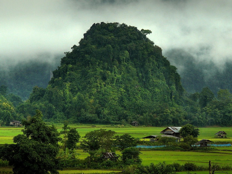 mountain, 480P, trees, photo, landscape, covered, grass, cottages, nature, green, fields