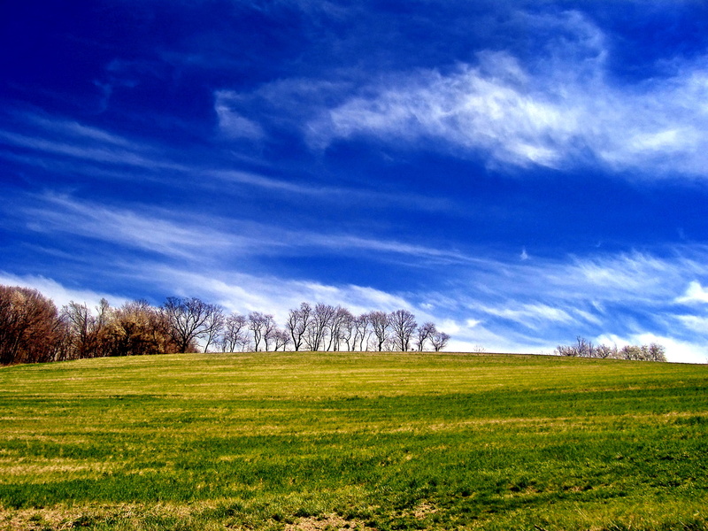 blue, tree, Greenwich Township, Berks County, rural, nature, cloud - Sky, outdoors, 2K, season, Pennsylvania, daytime, landscape photography, creative commons