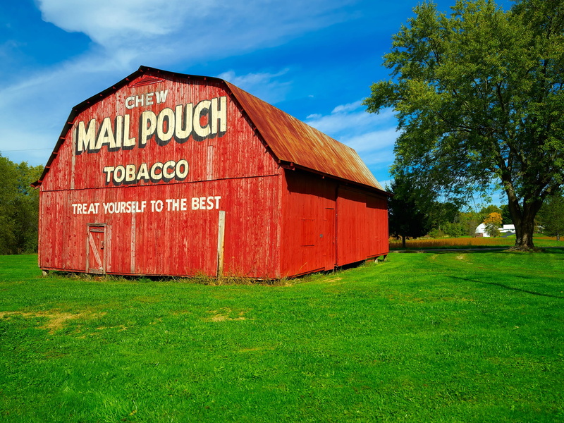 uSA, country, plant, western script, clouds, no People, sky, built structure, sunlight, 1080P, day, weathered, land, nature, Mail Pouch Tobacco, color Image