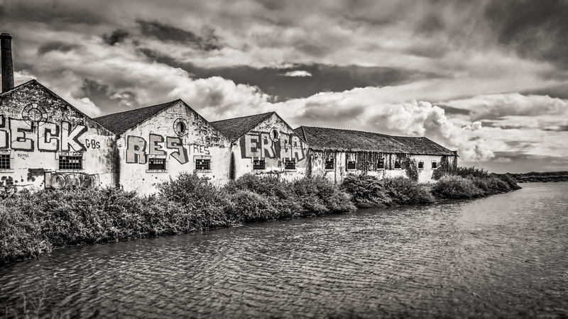nature, horizontal plane, building, house, home, cloud - sky, river, city, day, sky, residential district, monochrome, no people, waterfront, factory, 2K