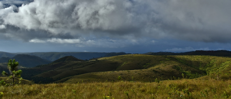 sky, storm cloud, storm, clouds, land, horizontal plane, hills, no people, panoramic view, plain, plant, cloudy, 5K, grass, cloud - sky, environment, panoramic