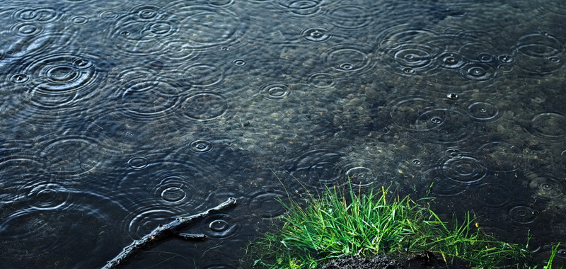 holidays, no people, drop, concentric, purity, nature, rippled, water, photo, outdoors, sadness, beauty in nature, high angle view, backgrounds, full frame