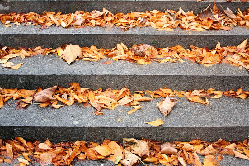 stair, large group of objects, concrete, tranquility, full frame, yellow, park, dried, dry, leaves, leaf, autumn, falling, backgrounds, land, www, outdoors
