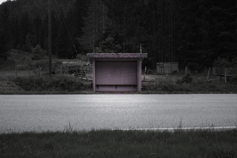 grass, field, plant, tranquil scene, forest, tree, highway, built structure, building exterior, outdoors, growth, black and white, empty, bus, speedway