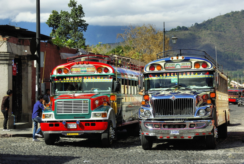 bus, truck, antigua, incidental people, outdoors, jeeps, road, tree, cloud - sky, nature, mode of transportation, 4K, land vehicle, sky, day, street, city