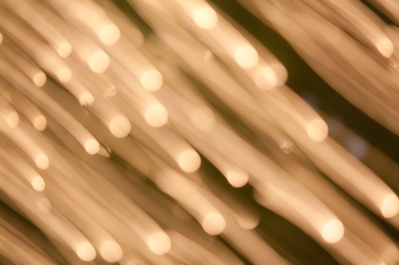 stripes, moving, glowing, bright, full frame, motion, gold, lights, blurred motion, night, illuminated, electricity, glittering, connection, decoration