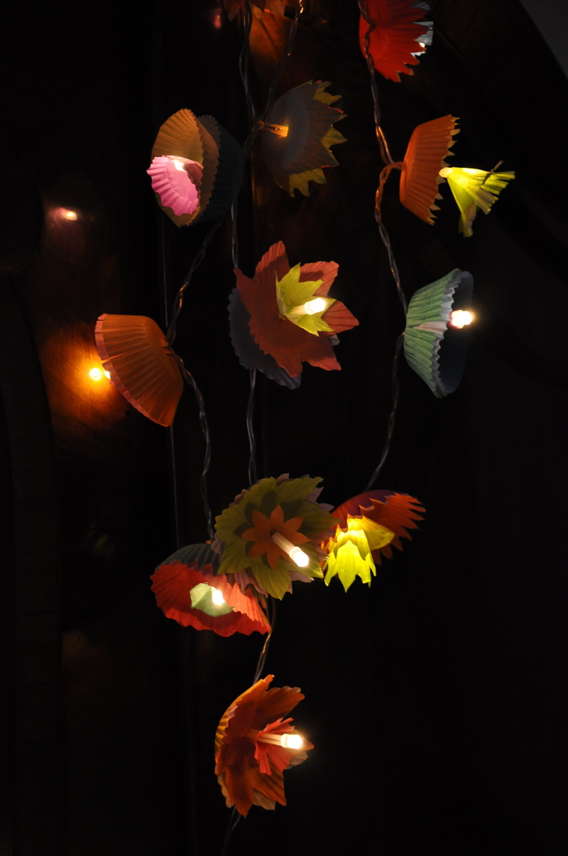 flower, nature, inflorescence, close-up, flower head, pollen, petal, no people, in the evening, twinkle lights in, flowering plant, plant, dark, color
