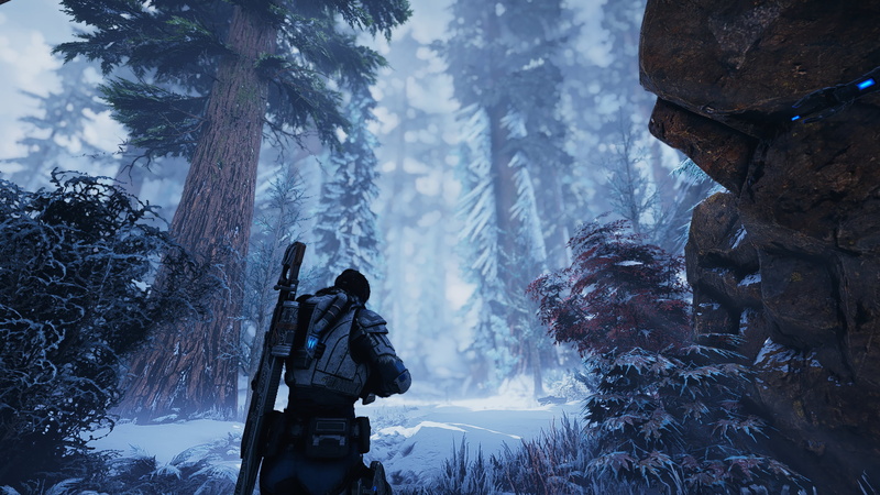 2K, Gaming Series, PC gaming, forest, Gears 5
