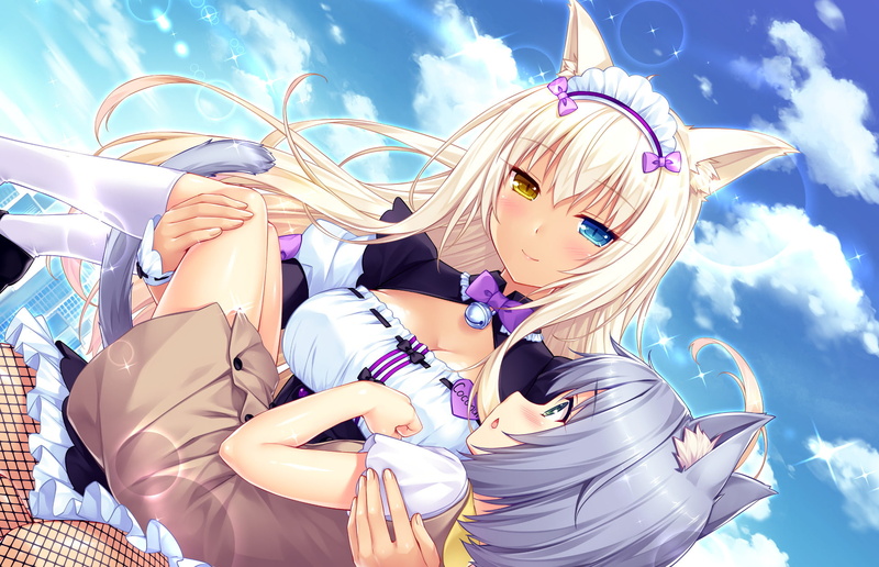 Heterochromia, Socks, Smile, Anime, Blonde, Dress, Neko, Pantyhose, Nekopara, Brown Dress, Animal Ears, Girl, Coconut (Nekopara), Blush, 1080P, Fishnet