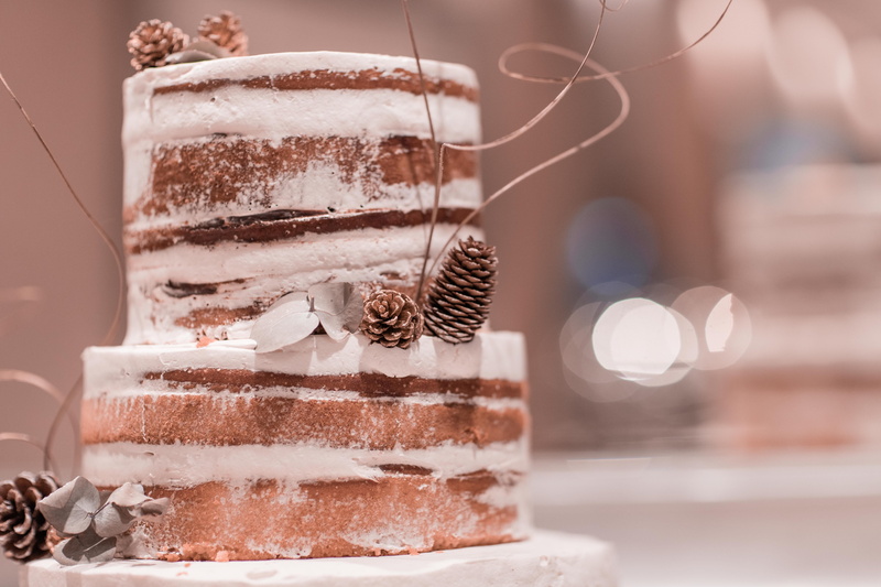 focus, epicure, celebration, sweet food, conifer cone, food, holiday, food photography, selective focus, layered, close-up, decoration, table, icing, two