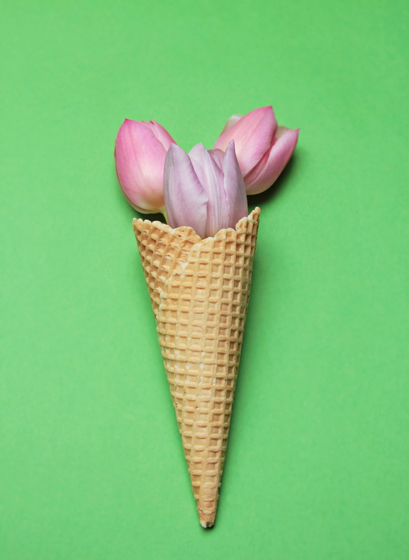 spring, photo, copy space, vegetable, healthy eating, studio shot, cone, sugar, floral greeting, wellbeing, high angle view, 5K, pink color, waffle cone