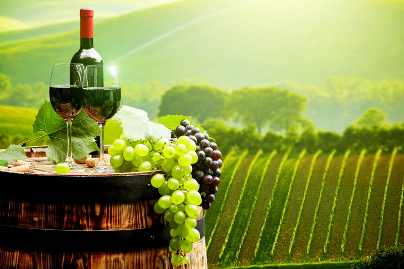 alcohol, barrel, green, field, no people, glasses, bottle, drink, nature, red wine, healthy eating, wellbeing, grapes, fruit, landscape, food, table, grape