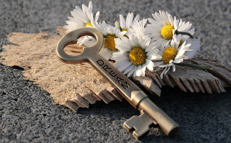 freshness, plant, no People, nature, keys, high angle view, flowers, close-up, macro, business, equipment, work Tool, industry, petal, daisy, indoors, gray
