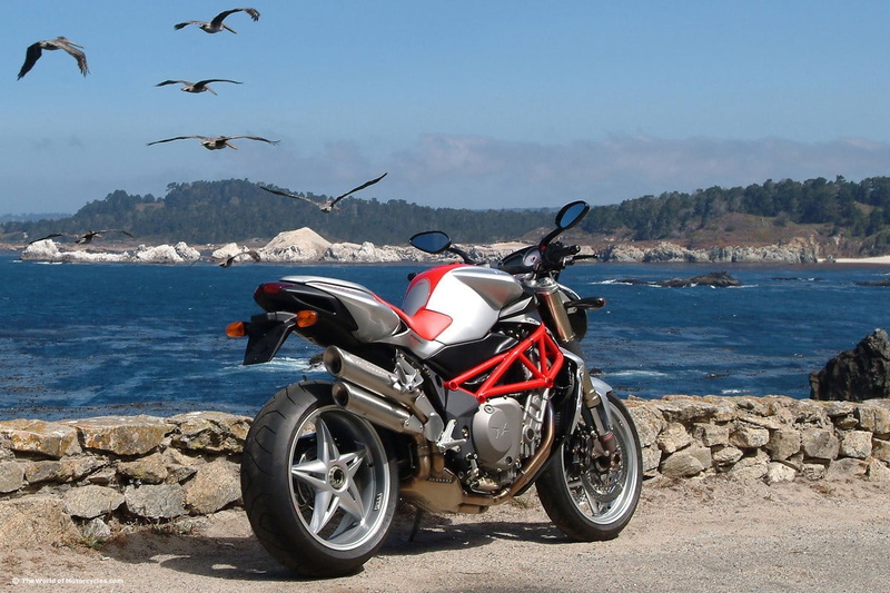 MV agusta, sea, motorcycle, animal wildlife, stationary, land vehicle, animal, 480P, day, bird, sky, water, sunlight, nature, mode of transportation, vertebrate
