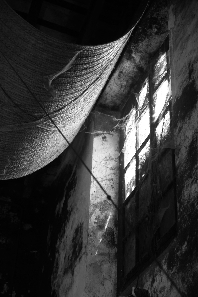 architecture, built structure, abandoned, low angle view, window, stone wall, day, black and white, outdoors, wall - building feature, wall, sunlight, winery
