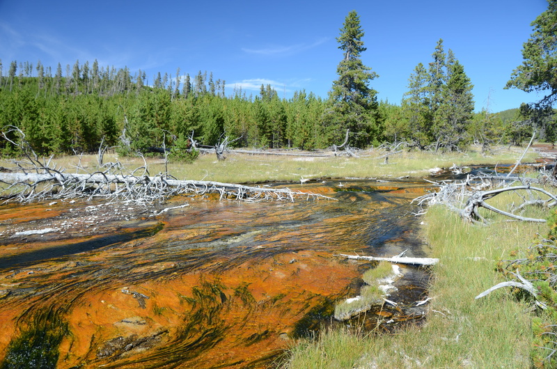 colorful, land, vibrant, thermophiles, yellowstone, Rabbit Creek, thermal, color Image, outdoors, hot water, hot, non-urban scene, park, nature, rabbit