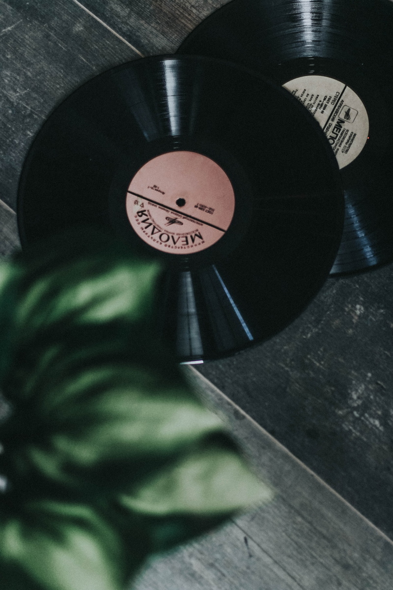 equipment, nostalgia, gramophone, 5K, flower, retro, instrument of measurement, vinyl, design, entertainment, close-up, black, number, table, music, text