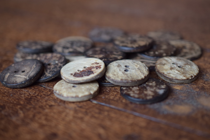 brown, dried fruit, selective focus, old, freshness, buttons, still life, indoors, healthy eating, food, wellbeing, seed, large group of objects, baked