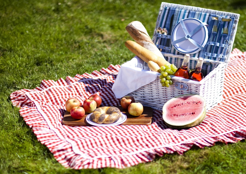 picnic blanket, day, grass, summer, Food, checked pattern, food and drink, picnic basket, plant, blanket, wellbeing, land, nature, field, healthy eating