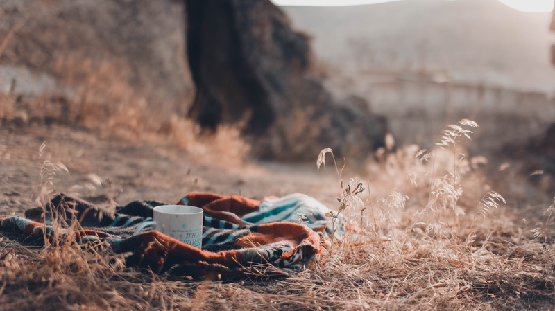 blue, landscape, withered, animal wildlife, blanket, field, focus on foreground, sunlight, picnic, tree, grass, day, one animal, white, nature, dry, animals in the wild