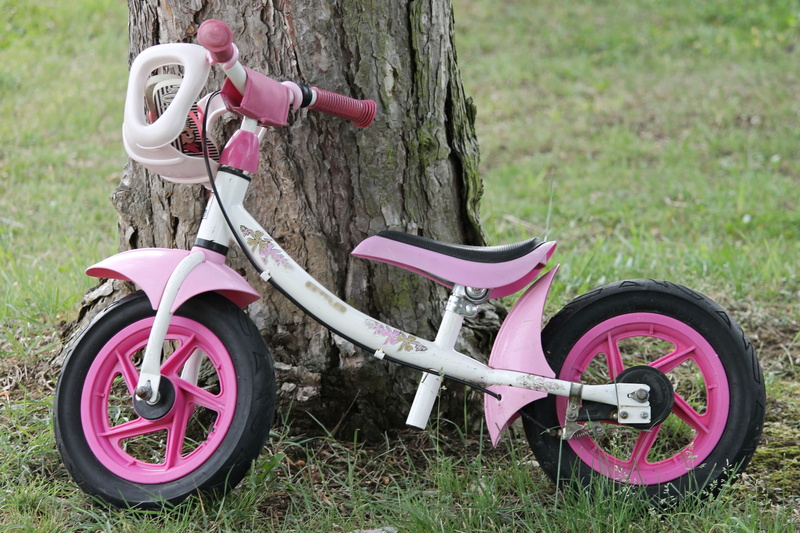 pink, tire, transportation, toys, trunk, day, nature, tree, turned off, impeller, outdoors, mature, plant, childs bike, stationary, travel, field, ajar