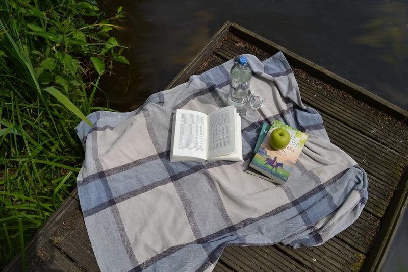 freshness, tray, 4K, wood - material, summer, textile, table, still life, close-up, publication, Picnic, food, container, Book, pond, reading, drink, park