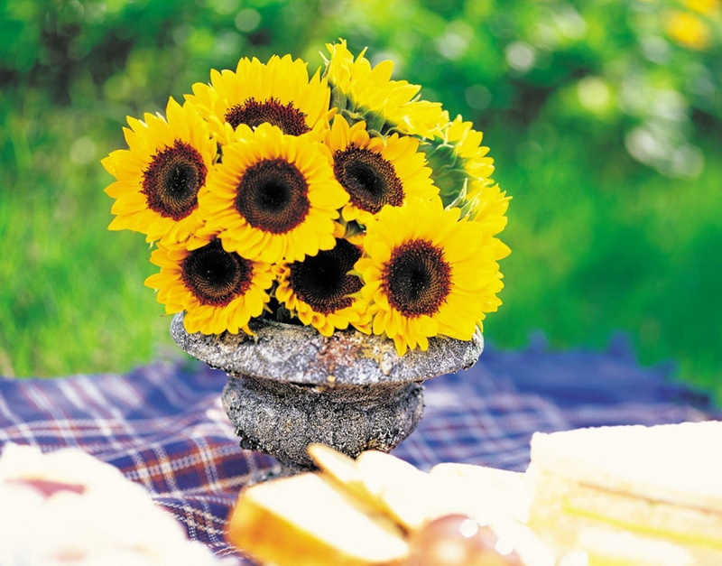 greens, 1080P, vase, sunflowers, blanket, picnic