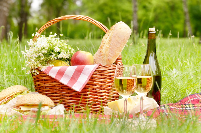 bottle, cheese, forest, apples, glasses, summer, basket, grass, swipe, nature, trees, sandwiches, flowers, 4K, bread, blanket, picnic, wine, chamomile