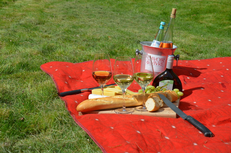 food, container, stemmed, long, plant, red, nature, blanket, rush, glass, tray, bread, three, field, 4K, alcohol, land, high angle view, refreshment, day