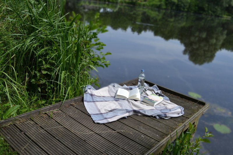 moored, wood - material, nature, nautical Vessel, dock, reflection, park, platform, 4K, outdoors, pond, summer, no people, lake, plant, water, high angle view