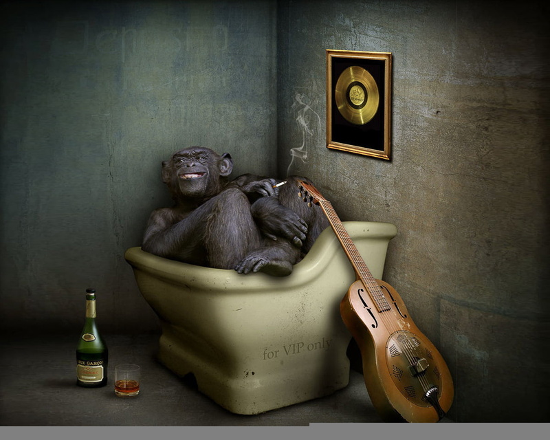 wood - material, representation, black, 720P, animal, guitar, inside, tub, digital, container, vignette, no People, bottle, wildlife, mammal, cognac, chimpanzee