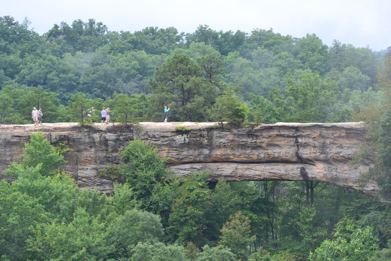 built structure, no people, natural bridge, green color, ancient, foliage, natural bridge road, day, plant, land, beauty in nature, kentucky, forest, travel